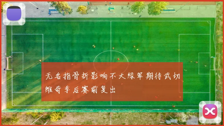 无名指骨折影响不大绿军期待武切维奇季后赛前复出