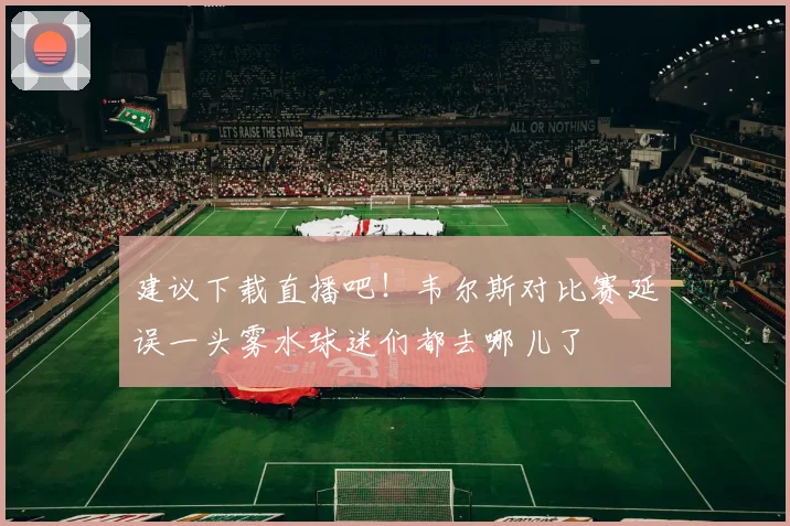 建议下载直播吧！韦尔斯对比赛延误一头雾水球迷们都去哪儿了