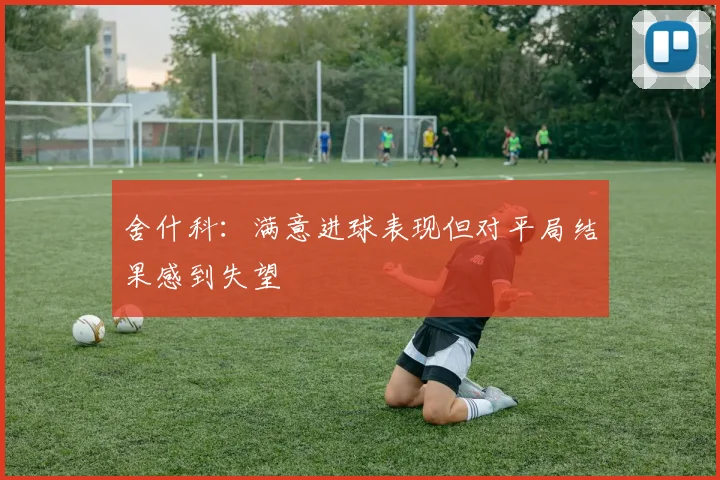舍什科：满意进球表现但对平局结果感到失望