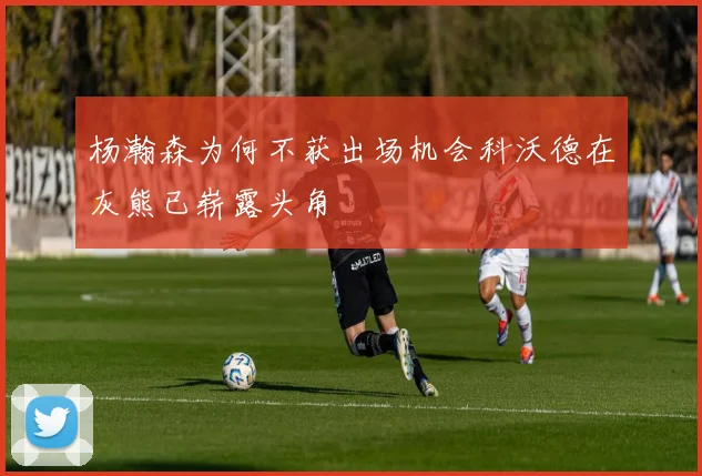 杨瀚森为何不获出场机会科沃德在灰熊已崭露头角