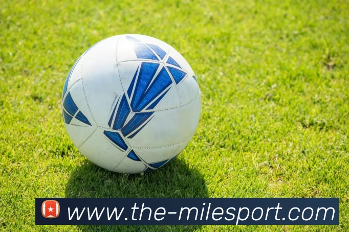 米乐体育平台生态图