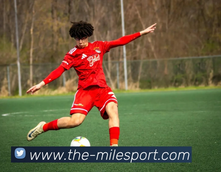 米乐体育APP 封面图