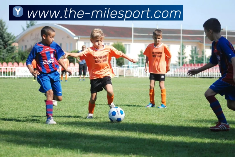 数据防护可视化